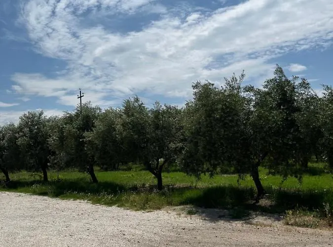 Il Casale Del Nonno Armando Holiday home *